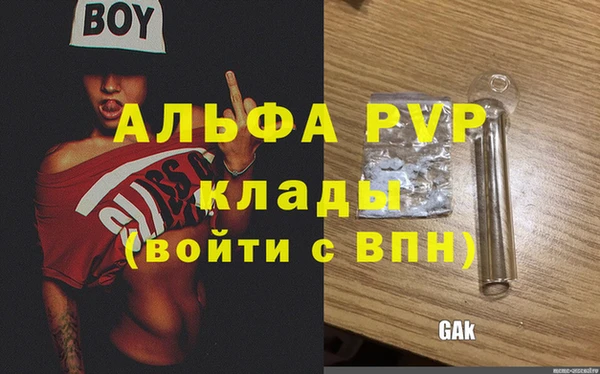 дживик Магас