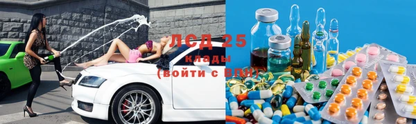 дживик Магас
