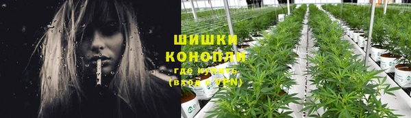 дживик Магас