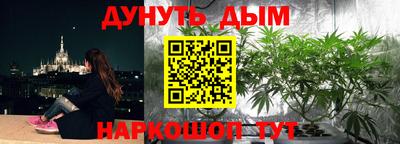 молекула духа Заводоуковск