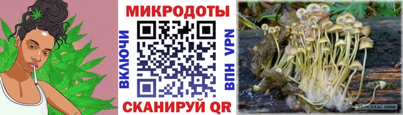 Псилоцибиновые грибы GOLDEN TEACHER  Набережные Челны 