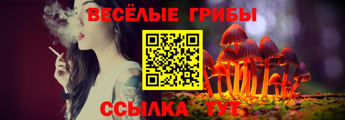 Набережные Челны  Галлюциногенные грибы Psilocybine cubensis  Вход с VPN 